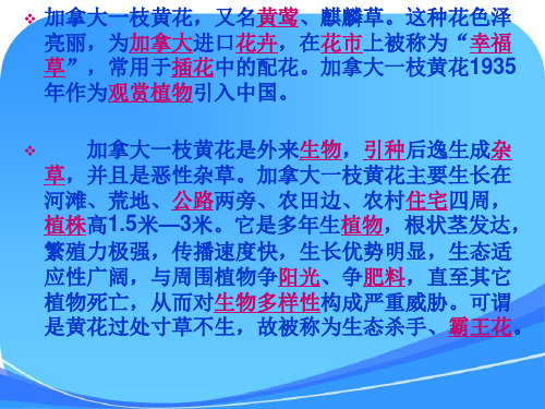 凤眼莲俗称水葫芦它可是生物入侵者!