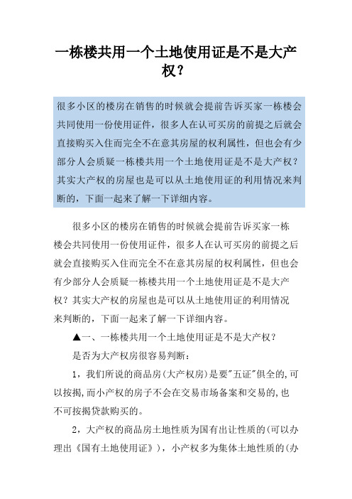 一栋楼共用一个土地使用证是不是大产权？