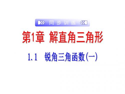 2019-2020年浙教版九年级下册数学训练课件：1.1  锐角三角函数(一)