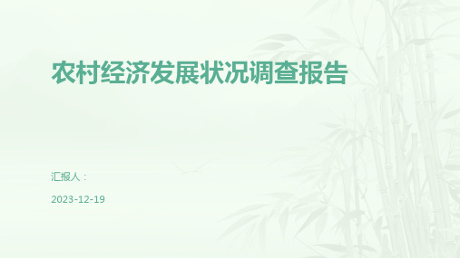 农村经济发展状况调查报告