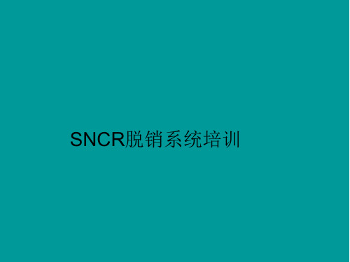 SNCR主要设备讲解及常见问题处理方法