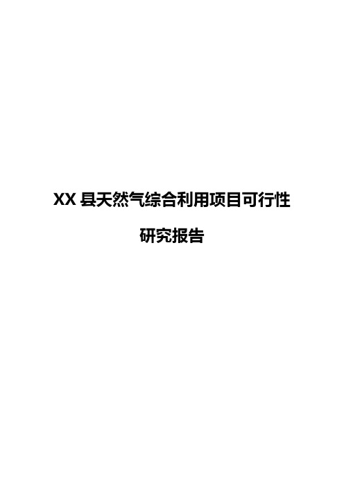 XX县天然气综合利用项目可行性研究报告