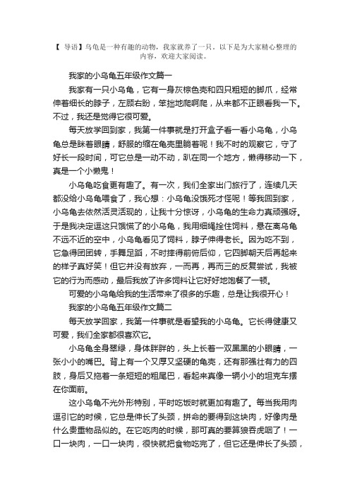 我家的小乌龟五年级作文五篇