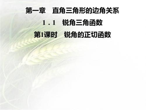 北师版九年级数学下册第一章1.1第1课时 锐角的正切函数