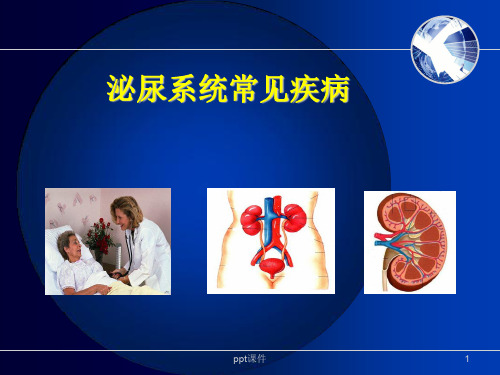 肾内科相关基础知识  ppt课件