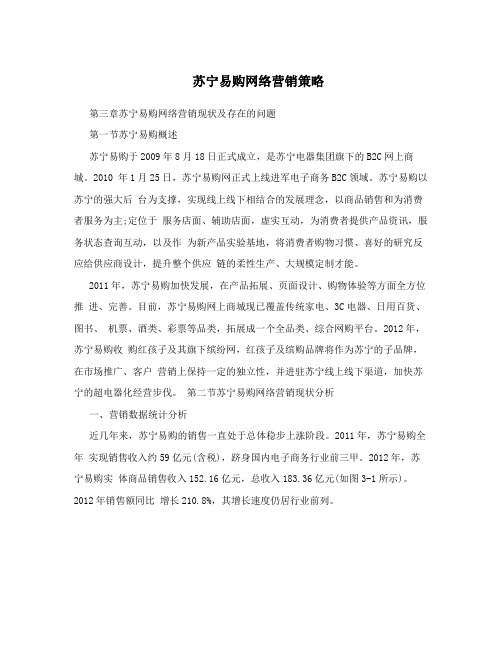 苏宁易购网络营销策略