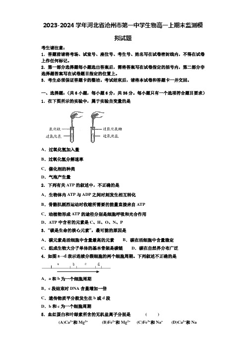 2023-2024学年河北省沧州市第一中学生物高一上期末监测模拟试题含解析