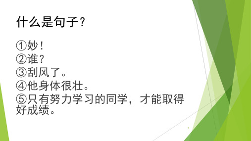 现代汉语句子的基本语法常识PPT课件