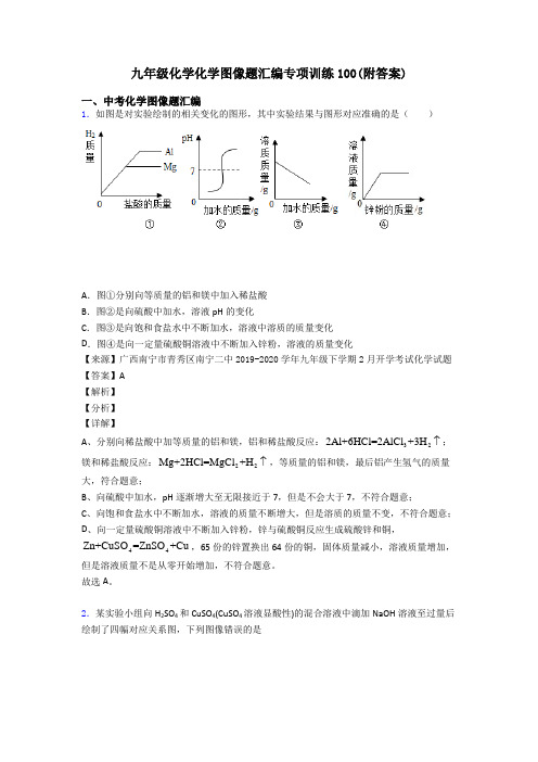 九年级化学化学图像题汇编专项训练100(附答案)