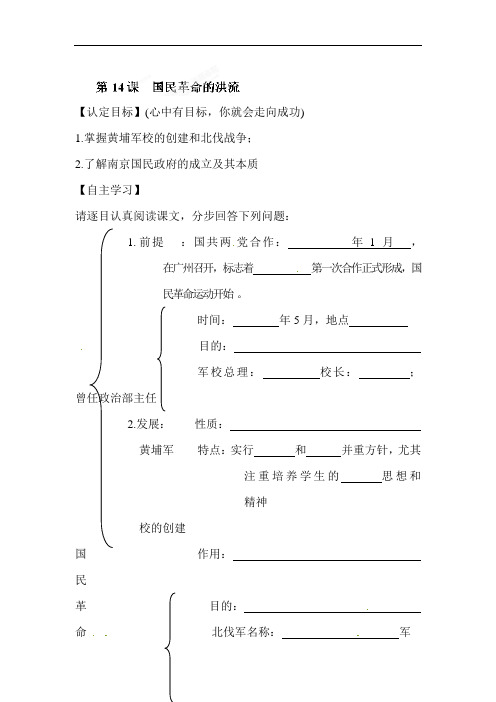 最新初中历史-国民革命的洪流 精品