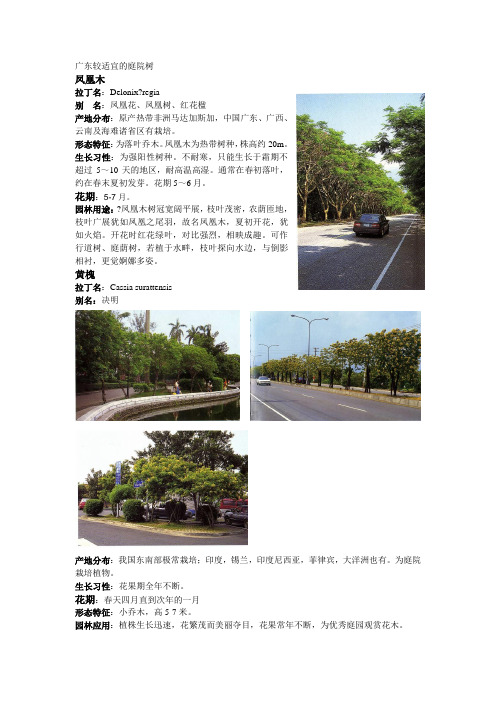广东较适宜的景观庭院树木