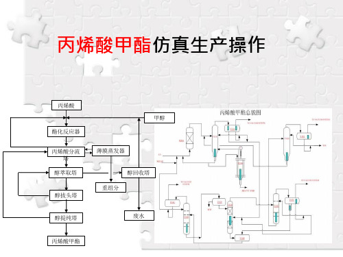 丙烯酸甲酯仿真操作特点课件