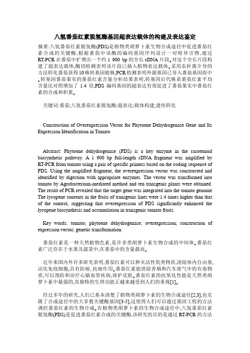 八氢番茄红素脱氢酶基因超表达载体的构建及表达鉴定