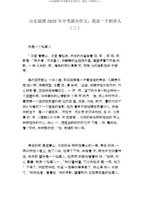 山东淄博--中考满分学习作文：我是一个稻草人三