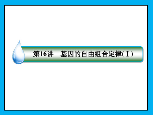 2019届高考人教版生物一轮复习课件:1-2-5-16基因的自由组合定律(Ⅰ)