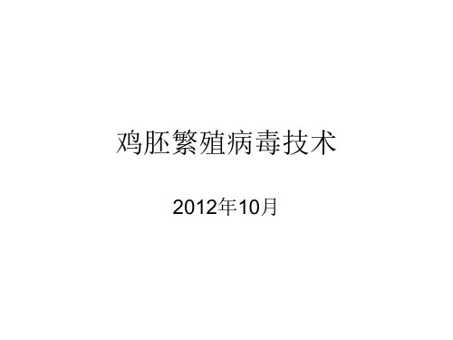 鸡胚繁殖病毒技术