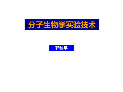 核酸和蛋白质基本性质及操作注意事项