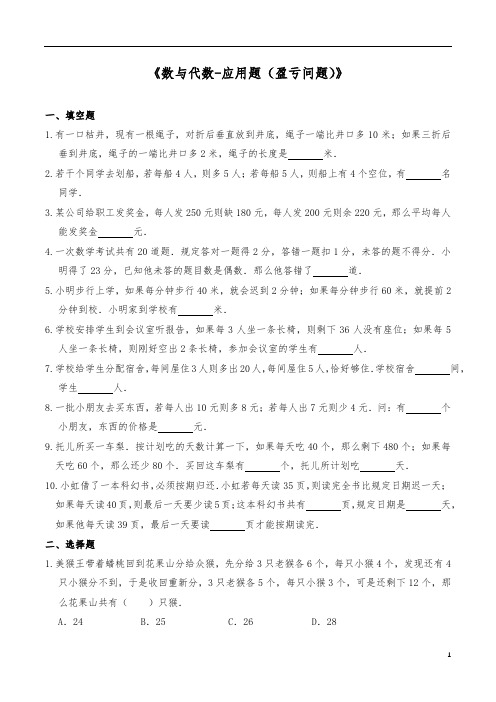 六年级数学下册  一课一练《数与代数-应用题(盈亏问题)》 人教版(含答案)