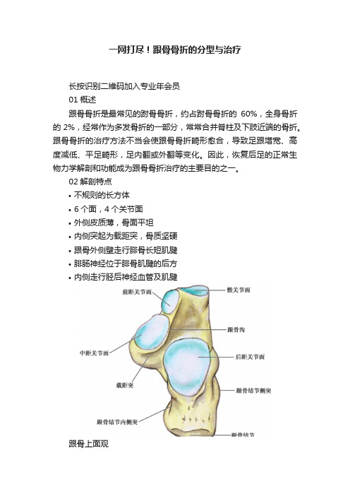 一网打尽！跟骨骨折的分型与治疗