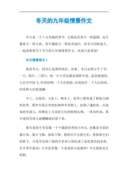 冬天的九年级情景作文