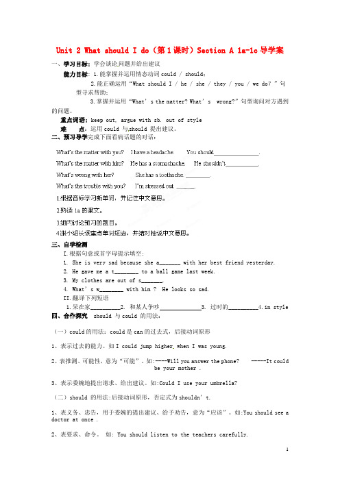 湖南省郴州市嘉禾县坦坪中学八年级英语下册 Unit 2 Wh