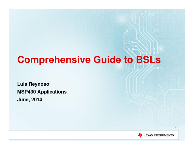 MSP430应用指南：BSL详解（2014年6月）说明书