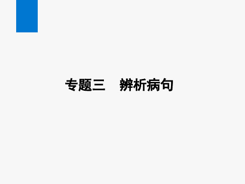 2024年语文中考总复习第一部分语言文字运用专题三辨析病句