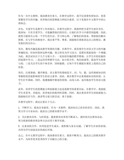 中文教学感受心得体会