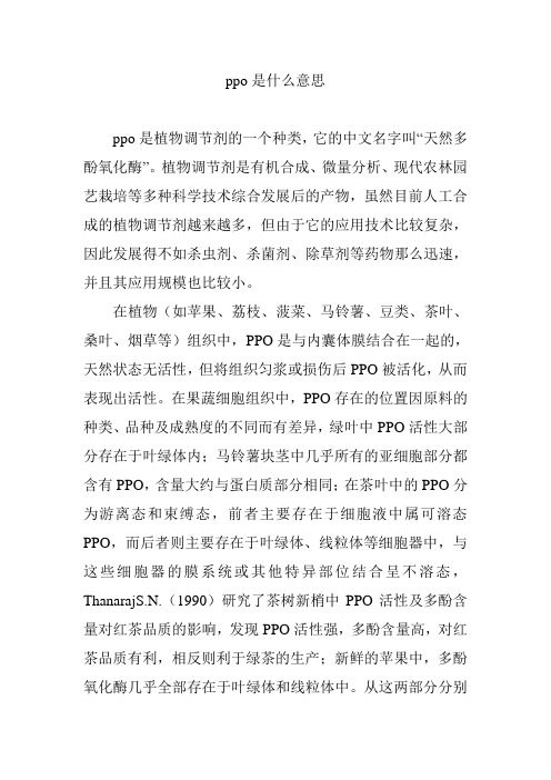 ppo是什么意思