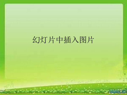 苏科版信息技术五年级上册： 23《在幻灯片中插入图片》课件(14张PPT)