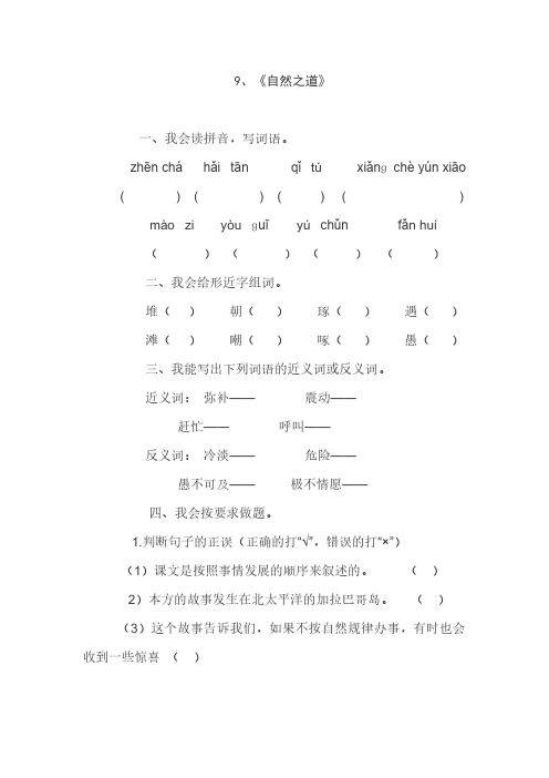 人教版四年级语文下册9、自然之道(练习题)、部编一上语文期末试卷