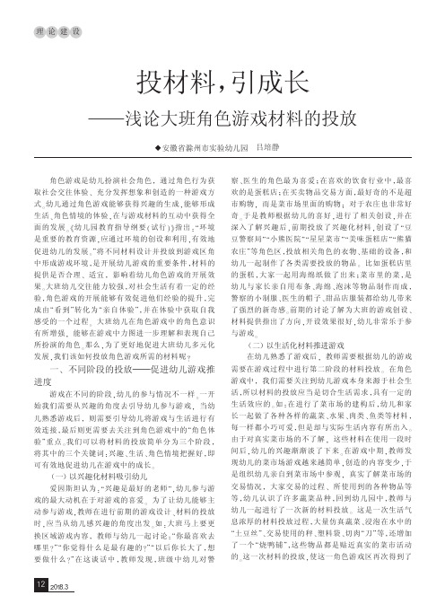 投材料,引成长——浅论大班角色游戏材料的投放