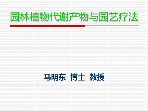 园艺疗法