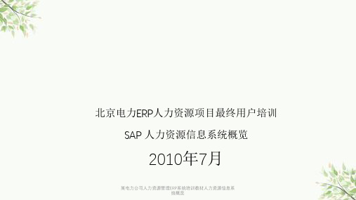 某电力公司人力资源管理ERP系统培训教材人力资源信息系统概览课件