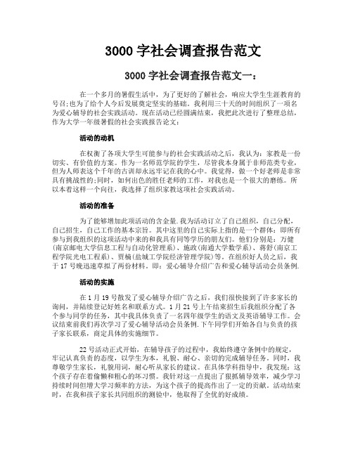 3000字社会调查报告范文