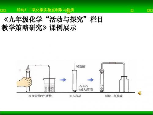 二氧化碳的实验室制取与性质PPT课件2(2份) 人教版