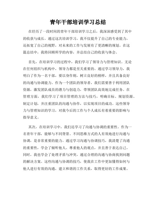 青年干部培训学习总结