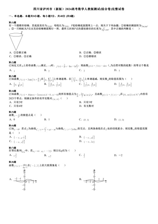 四川省泸州市(新版)2024高考数学人教版测试(综合卷)完整试卷