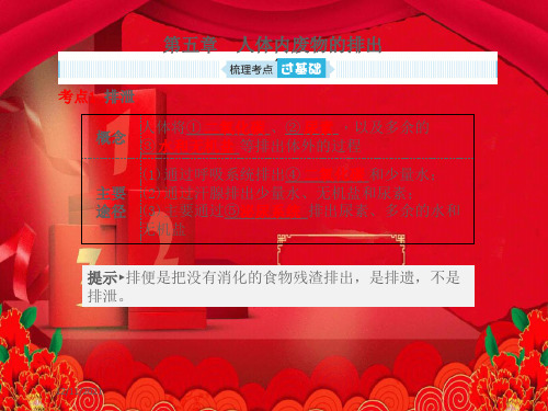 中考生物总复习 第四单元 生物圈中的人 第五章 人体内废物的排出生物课件