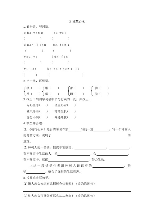 人教六年级语文下册3 桃花心木课时同步作业练习含答案 精品