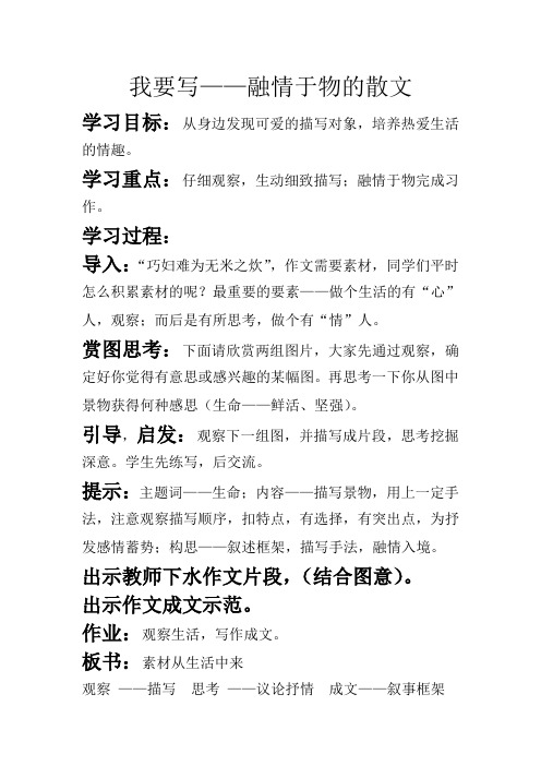 作文：融情与物的散文