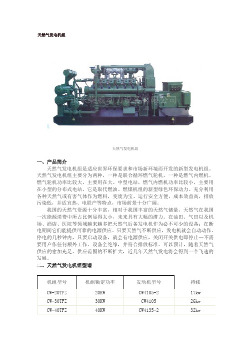 济柴天然气发电机组技术参数