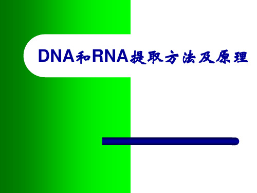 DNA和RNA提取方法及原理