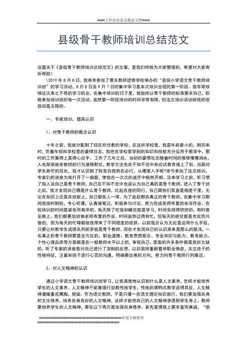 2019年最新教师个人继续教育培训学习总结范文工作总结文档【五篇】