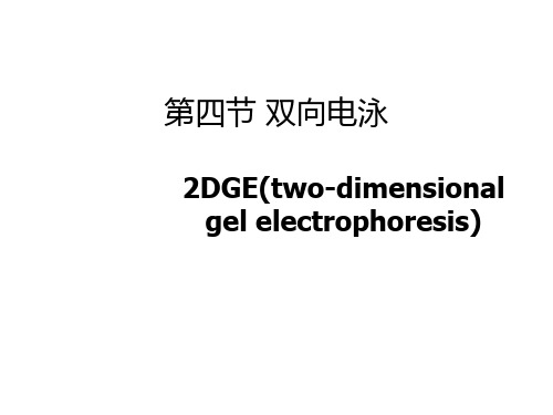 6第四节 双向电泳(2DGE)-生化分析