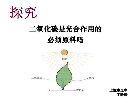 初中生物创新实验说课ppt课件