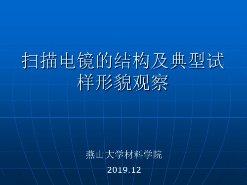 扫描电镜的结构及典型试样形貌观察