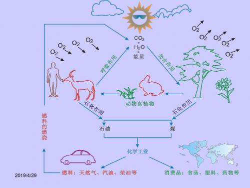 最简单的有机化合物——甲烷PPT课件13 人教课标版