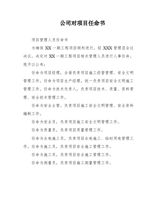 公司对项目任命书