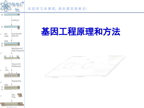 基因工程-1-前言PPT课件